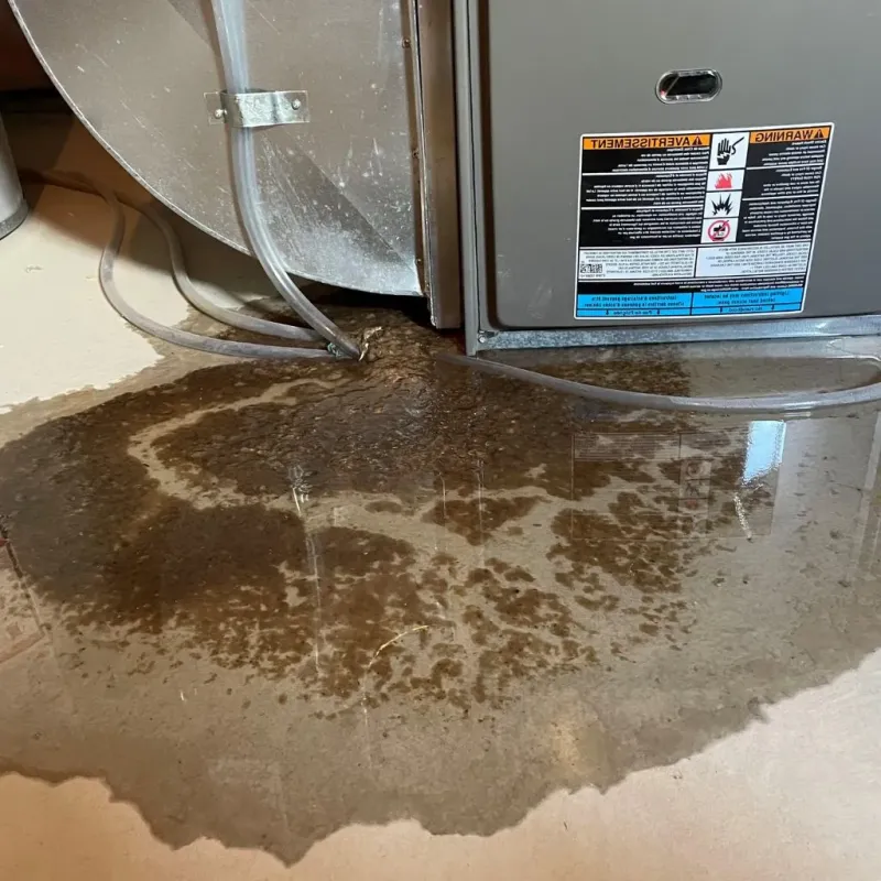 Pipe Burst and Leak Restoration in Eliot, ME